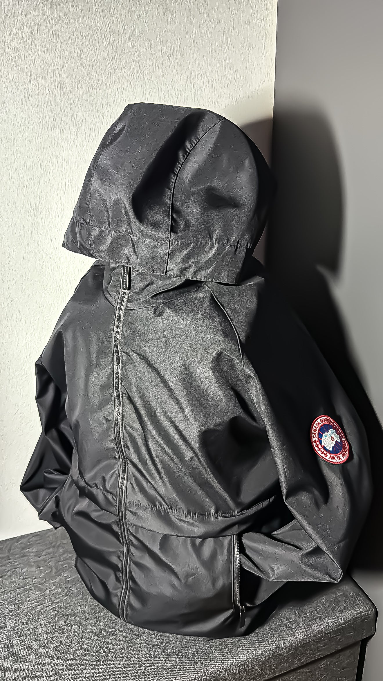 Canada goose